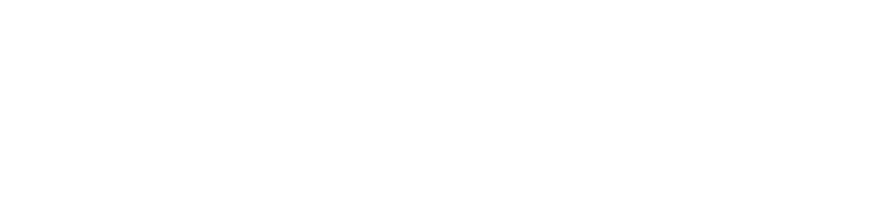 AT Travelwise